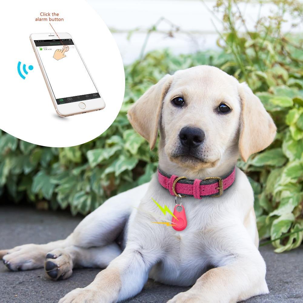 Rastreador GPS Coleira Para Cachorros Gatos Chaves Bolsas Mala Criança - Liora Express