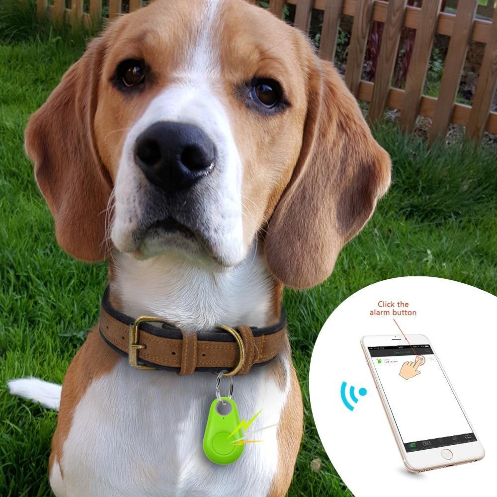 Rastreador GPS Coleira Para Cachorros Gatos Chaves Bolsas Mala Criança - Liora Express