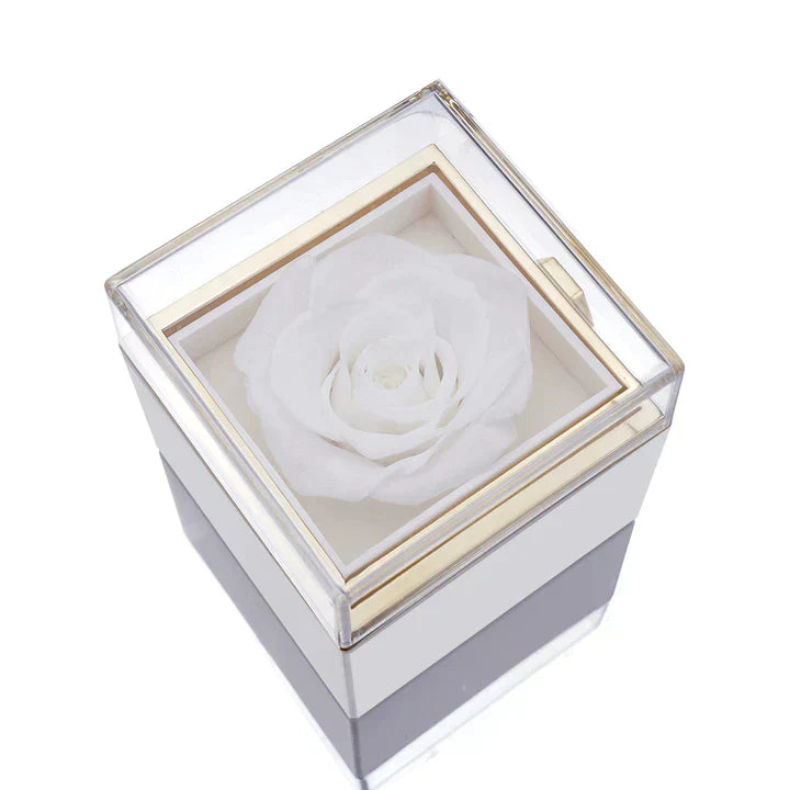 💖 Colar Dois Corações Personalizado com Caixa Rotativa & Rosa Eterna — O Presente Perfeito para Surpreender!! 