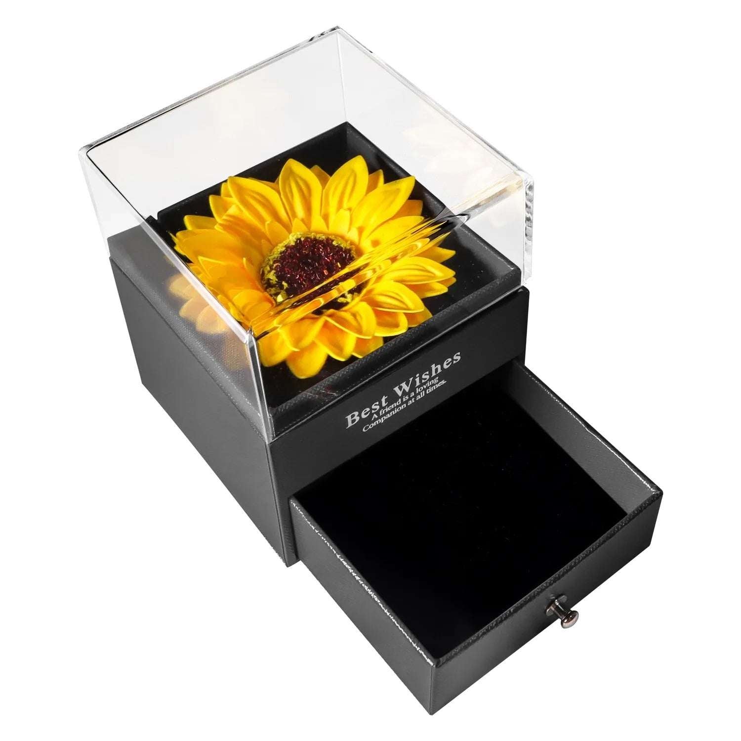 https://cdn.shopify.com/s/files/1/0931/1676/0375/files/9d225330-5322-4229-920c-3358fd977c43-_11.jpg?v=1757699000