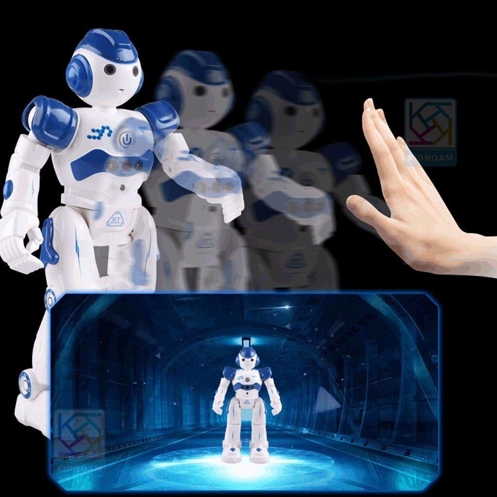 Robô de Controle Remoto Dançarino Com Gestos Brinquedo Para Crianças - Liora Express