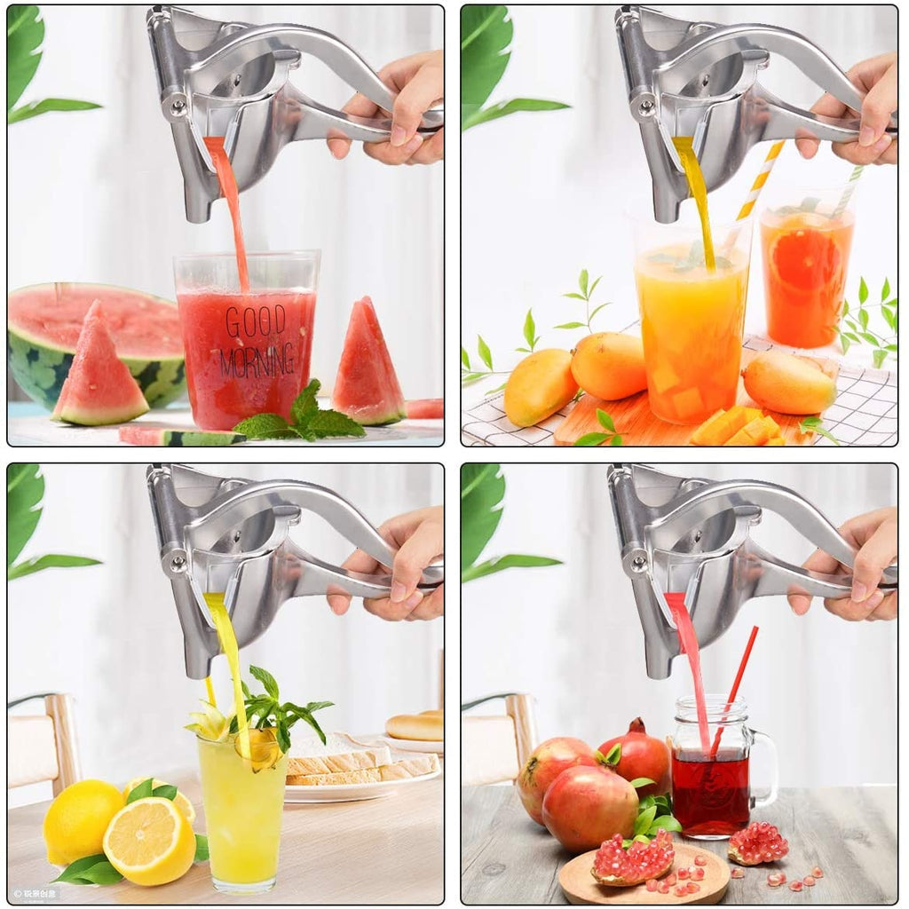 Espremedor de Frutas para Sucos e Vitaminas Instantâneo - Liora Express