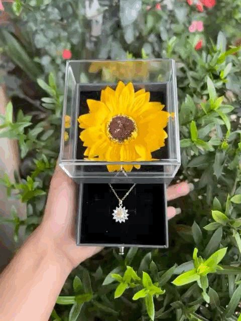 https://cdn.shopify.com/s/files/1/0931/1676/0375/files/IMG-1483_Golden_Lux_Box.gif?v=1757699000