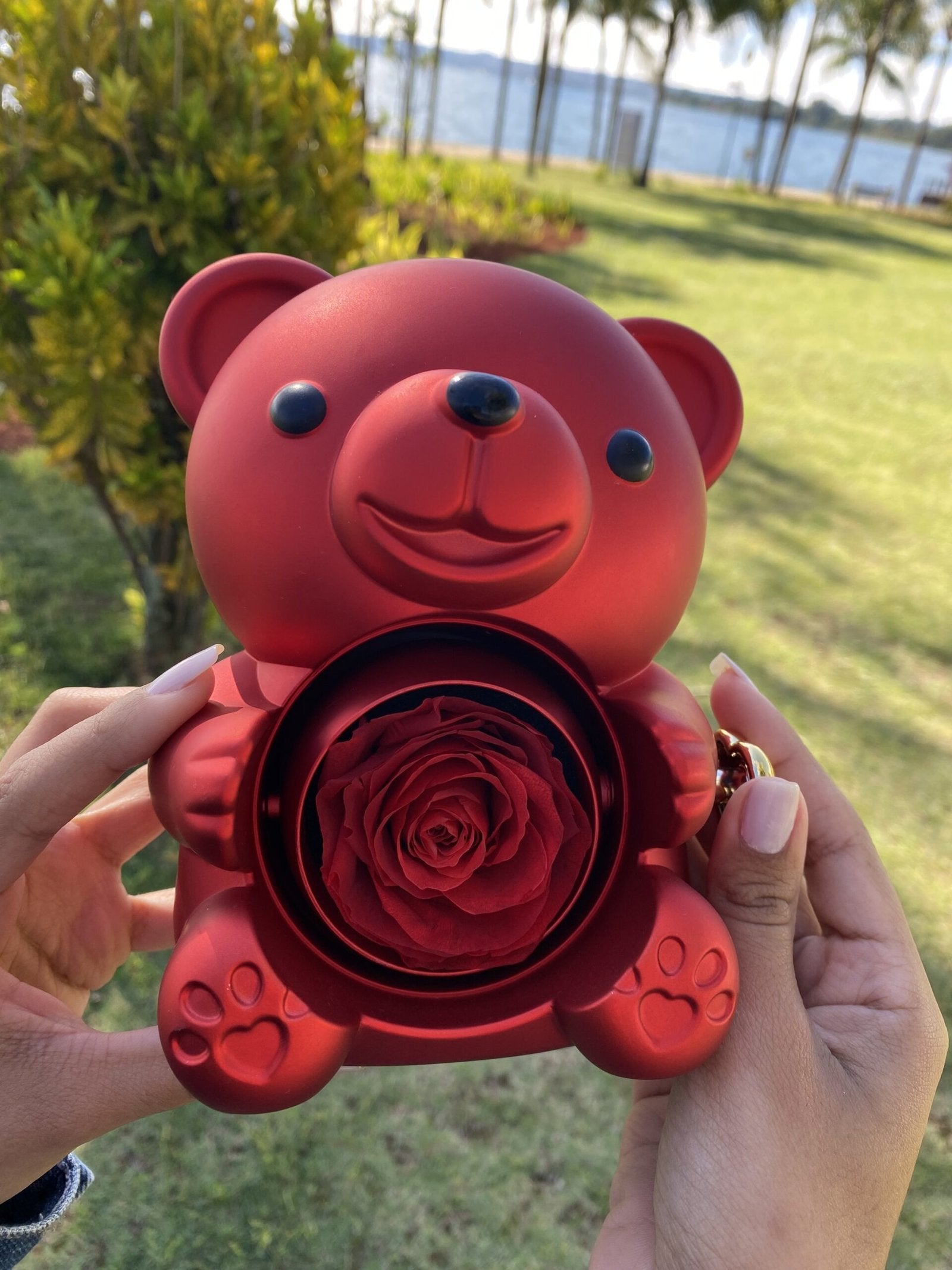 Kit Amor Eterno: Colar Dueto Personalizado + Urso com Rosa Eternizada