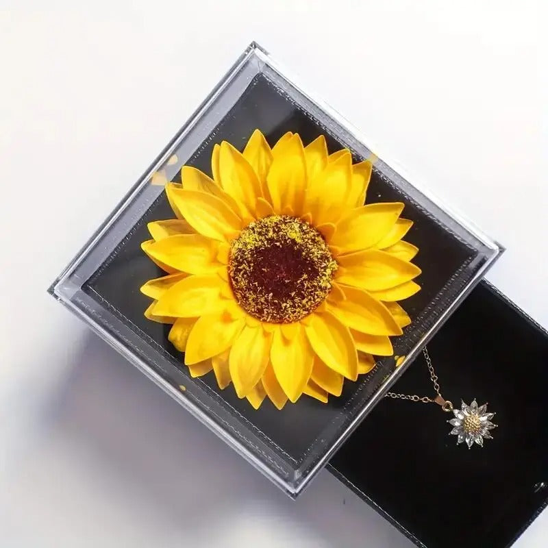 https://cdn.shopify.com/s/files/1/0931/1676/0375/files/a68a1a27-0231-49bf-9100-e76bf5ff5516.jpg?v=1757699000