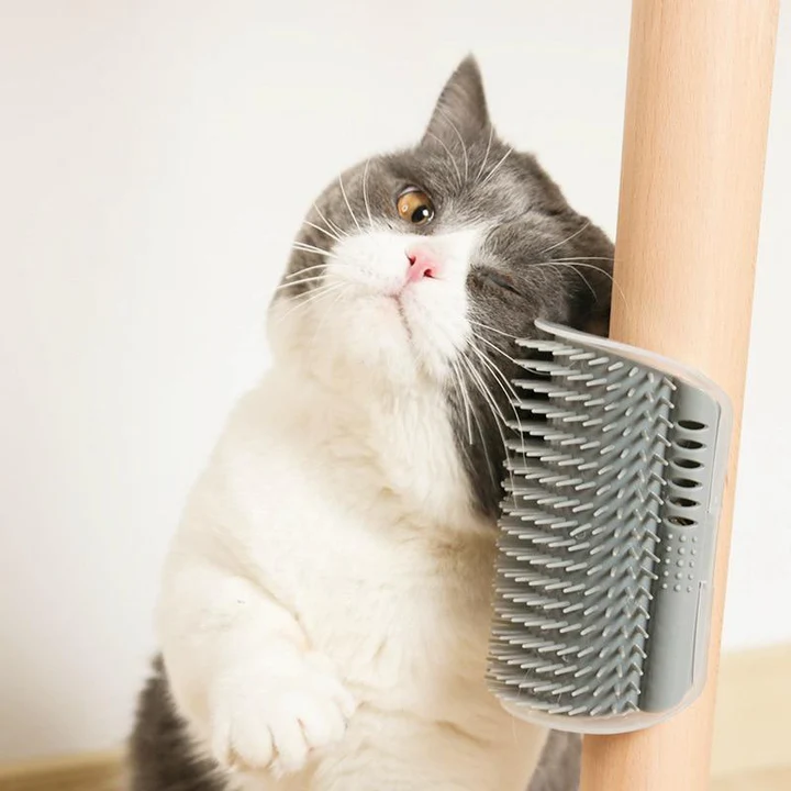 Escova Auto Massageadora Tira Pelos Para Gatos - Liora Express