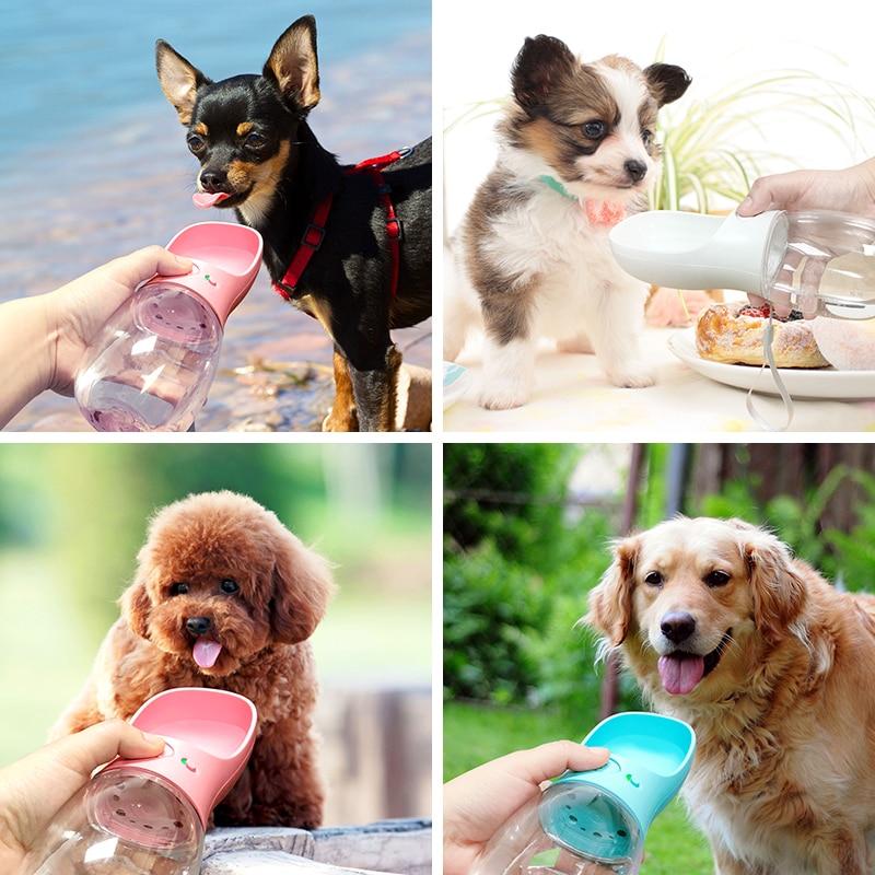 Garrafa D'Água Para Gatos e Cachorros - Petcare® - Liora Express