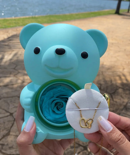 Urso com rosa eternizada