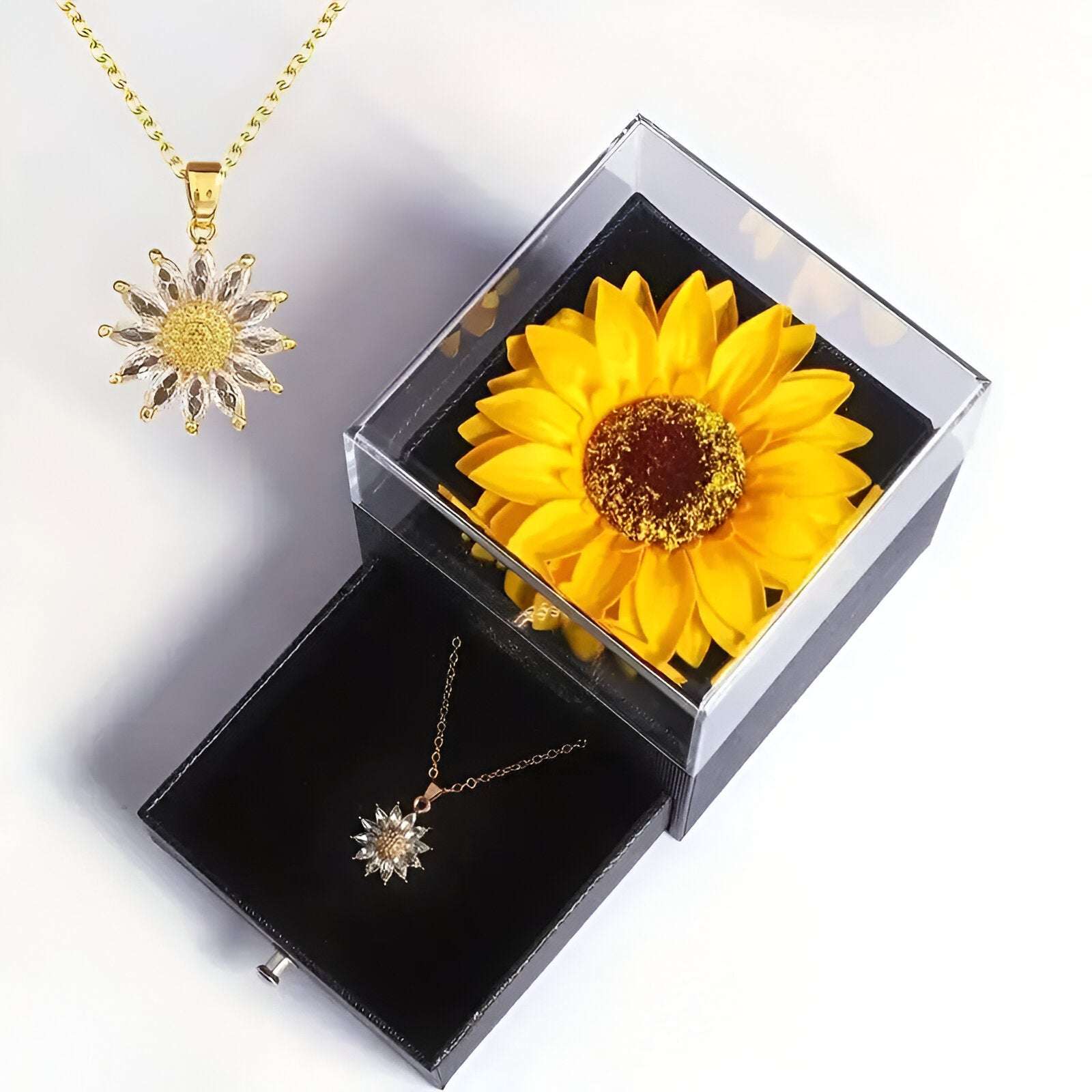 https://cdn.shopify.com/s/files/1/0931/1676/0375/files/pixelcut-export-1-6be5652b-9ab9-4e83-ab32-6191a547c598-_1.jpg?v=1757699000