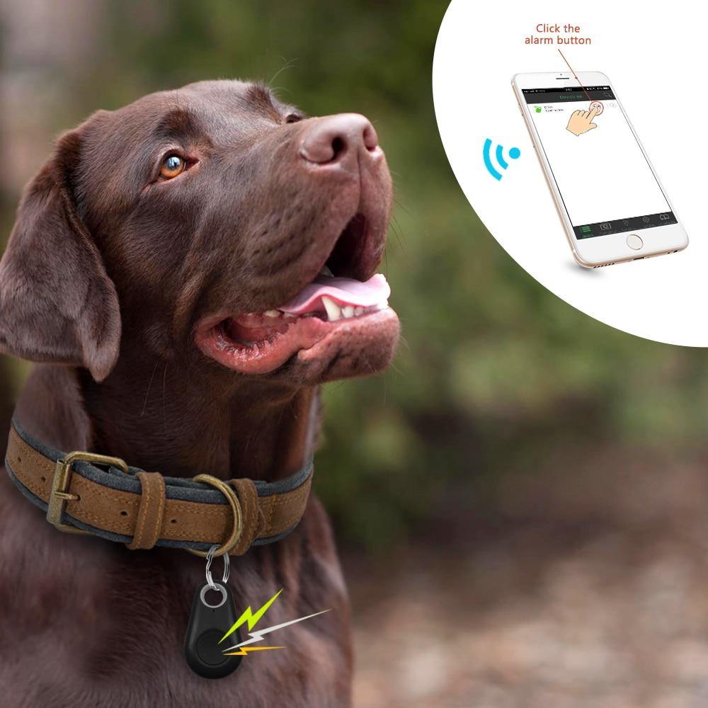 Rastreador GPS Coleira Para Cachorros Gatos Chaves Bolsas Mala Criança - Liora Express